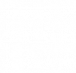 pacrim powerbatics competition